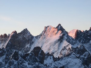 IMG_4582